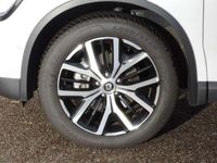 gebraucht Renault Koleos dCi 185 x-tronic Allrad Techno GJR,SHZ