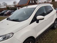 Usata Ford Ecosport S 95 CV (69 kW) 2016 Bianco SUV