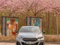 Gebraucht BMW M235 Sport Line 306 PS (225 kW) 2022 Grau Coupé