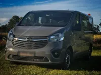 Gebraucht Opel Vivaro 2018 Grau Van / Kleinbus