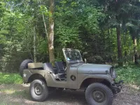 Gebraucht Jeep Willys 72 PS (52 kW) 1952 Beige SUV
