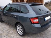 Gebraucht Skoda Fabia Clever 95 PS (69 kW) 2019 Grau Kleinwagen