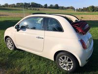 gebraucht Fiat 500C 500C1.2 8V Lounge