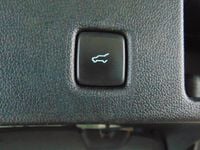 Gebraucht Ford Kuga ST-Line 150 PS (110 kW) 2023 Blau SUV