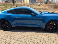 Gebraucht Ford Shelby 771 PS (567 kW) 2020 Blau Coupé