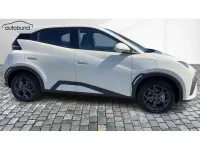 Neu BYD Dolphin Boost 64 kW (88 PS) 2026 Kleinwagen