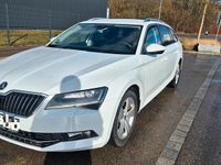 Gebraucht Skoda Superb 150 PS (110 kW) 2017 Weiß Kombi