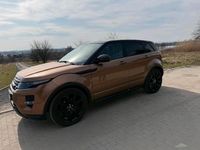 Gebraucht Land Rover Range Rover evoque Dynamic 241 PS (177 kW) 2014 Braun SUV
