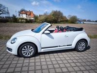 Gebraucht VW Beetle Design 150 PS (110 kW) 2015 Weiß Kleinwagen