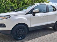 Gebraucht Ford Ecosport Trend 125 PS (91 kW) 2017 Weiß SUV