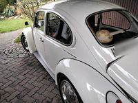 Gebraucht VW Käfer 40 PS (29 kW) 1976 Weiß Kleinwagen