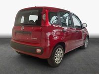 Neu Fiat Panda Icon 65 PS (47 kW) 2026 Rot Kleinwagen