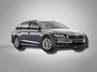 Neu Skoda Octavia Selection 150 PS (110 kW) 2025 Raceblau metallic Kombi