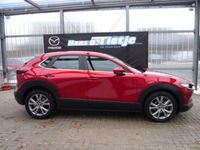Gebraucht Mazda CX-30 150 PS (110 kW) 2021 Soul red crystal SUV
