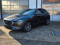 Gebraucht Mazda CX-30 Selection 179 PS (131 kW) 2020 Grau SUV