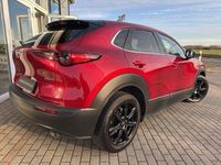 Gebraucht Mazda CX-30 Selection 186 PS (136 kW) 2023 Rot SUV