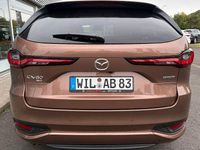 Gebraucht Mazda CX-80 Homura-Line 254 PS (186 kW) 2025 Braun SUV