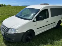 Gebraucht VW Caddy 105 PS (77 kW) 2009 Weiß Van / Kleinbus