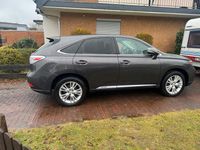 Gebraucht Lexus RX450h Luxury Line 249 PS (183 kW) 2007 Braun SUV