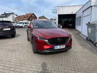 gebraucht Mazda CX-5 L SKYACTIV-D 184 AWD