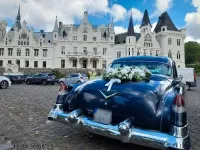Gebraucht Cadillac Fleetwood 205 PS (150 kW) 1953 Blau Limousine