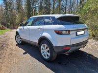 gebraucht Land Rover Range Rover evoque eD4 Pure