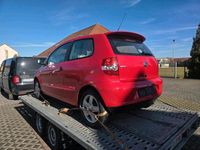 Gebraucht VW Fox Style 55 PS (40 kW) 2010 Rot Kleinwagen