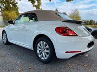 gebraucht VW Beetle Cabrio 1.2 TSI 105 PS seltene Farbkombination