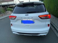 Gebraucht Ford Kuga ST-Line 150 PS (110 kW) 2020 Weiß SUV