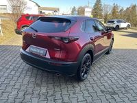 Neu Mazda CX-30 140 PS (102 kW) 2026 Rot SUV