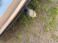 Gebraucht Audi A6 S-Line 272 PS (200 kW) 2017 Silber Kombi