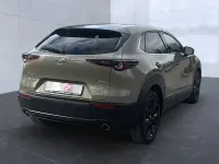 Gebraucht Mazda CX-30 Nagisa 140 PS (102 kW) 2025 Zircon sand (metallic) SUV