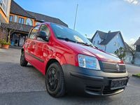 Gebraucht Fiat Panda Active 54 PS (39 kW) 2010 Rosso corsa/sfrontato/argilla/ Kleinwagen