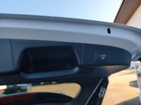 Neu Ford Focus Active 116 PS (85 kW) 2025 Weiß Limousine