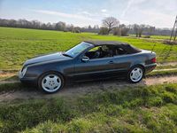 Gebraucht Mercedes CLK230 195 PS (143 kW) 2001 Schwarz Cabrio