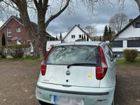 gebraucht Fiat Punto 