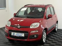 Gebraucht Fiat Panda Lounge 86 PS (63 kW) 2013 Rot Kleinwagen