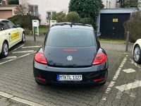 gebraucht VW Beetle Beetle The1.6 TDI DPF Exclusive Design