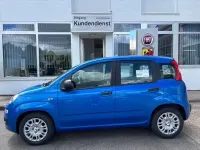Neu Fiat Panda Icon 69 PS (50 kW) 2026 Blau Kleinwagen
