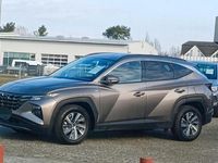 Gebraucht Hyundai Tucson Blackline 150 PS (110 kW) 2023 Braun SUV