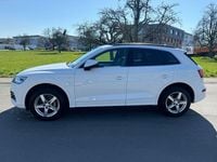 Gebraucht Audi Q5 Sport 252 PS (185 kW) 2020 Weiß SUV