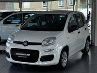 Gebraucht Fiat Panda Pop 69 PS (50 kW) 2016 Weiß Kleinwagen