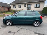 gebraucht Skoda Fabia Greenline""(Diesel)""(HU AU NEU)"