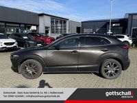 gebraucht Mazda CX-30 Selection 2WD e-SKYACTIV-X EU6d M-Hybrid 2.0