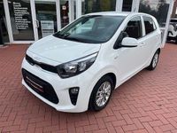 Gebraucht Kia Picanto Vision 67 PS (49 kW) 2023 Weiß Kleinwagen
