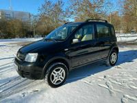 Fiat Panda 4x4 Gebraucht Kaufen 348 Autouncle