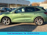 Neu Ford Kuga ST-Line 186 PS (136 kW) 2025 Grün SUV