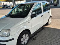 Gebraucht Fiat Panda 54 PS (39 kW) 2008 Weiß Kleinwagen