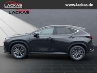 Neu Lexus NX350h 243 PS (178 kW) 2025 Graphitschwarz SUV
