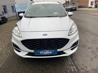 Gebraucht Ford Kuga ST-Line 190 PS (139 kW) 2022 Weiß SUV
